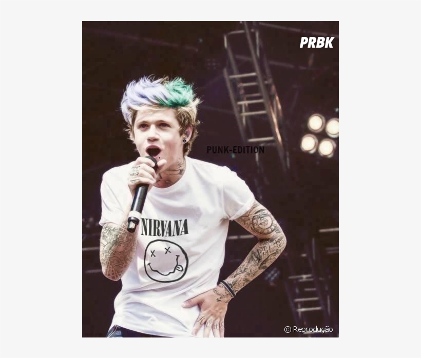 Niall Horan Continuaria Cantando No One Direction Depois - Niall Horan, transparent png #8245125