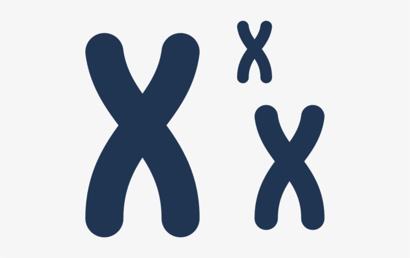 Dna Png Icon, transparent png #8245952