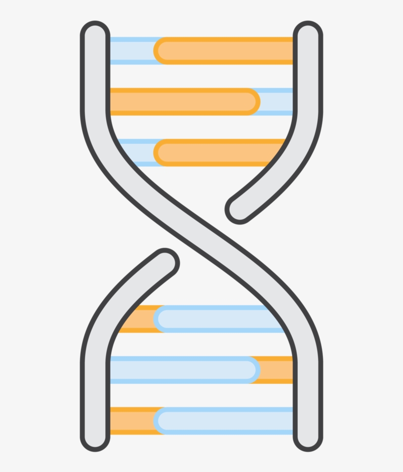 Deck Dna1, transparent png #8246486