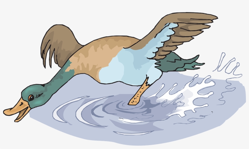 Water Splash Happy - Cartoon Duck Splashing, transparent png #8246798