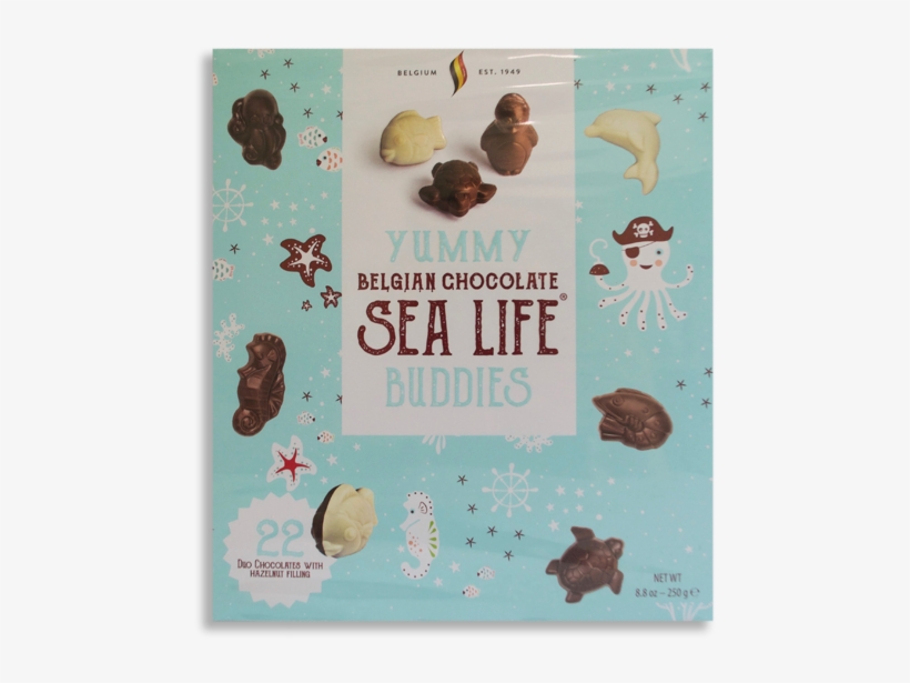 Sea Life Buddies - Poster, transparent png #8247023