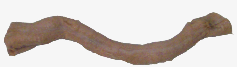 Image - Earthworm, transparent png #8247286