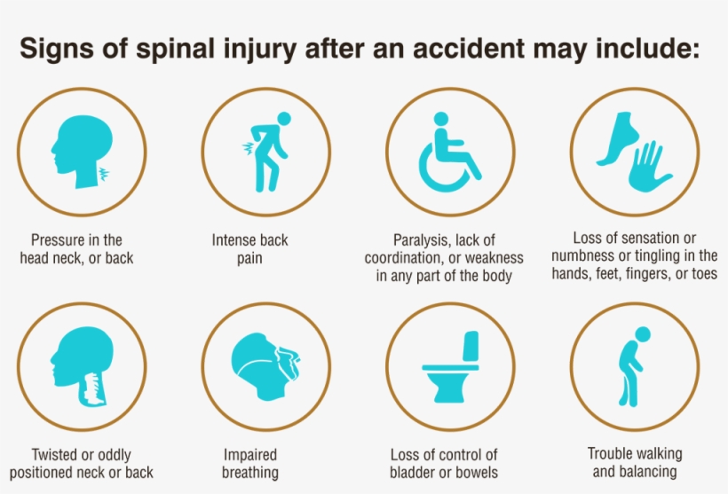 Sign Of Spinal Cord Injury After An Accident - Graphic Design, transparent png #8247604