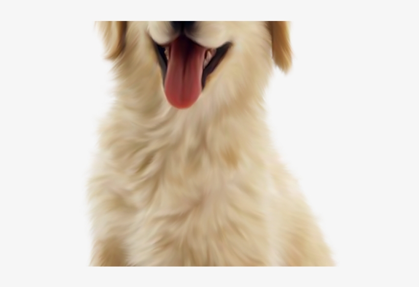 Real Dog Cliparts - Golden Retriever Puppy Png, transparent png #8248843