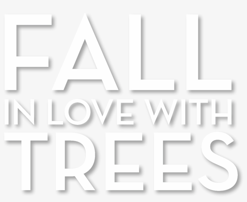 Poster, transparent png #8251097