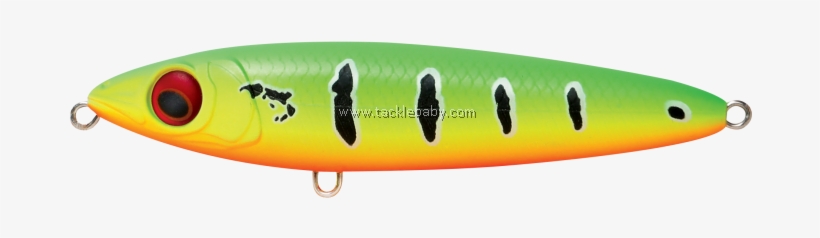 Bait Fish, transparent png #8254557