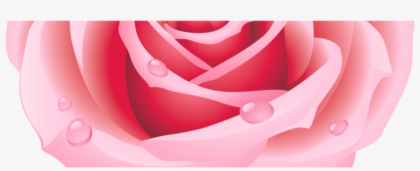Gloria June Hewat - Heart Rose Clipart, transparent png #8255103
