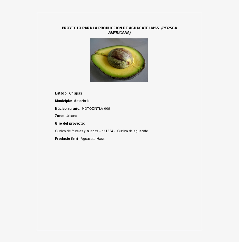 Docx - Partes De La Palta, transparent png #8255375