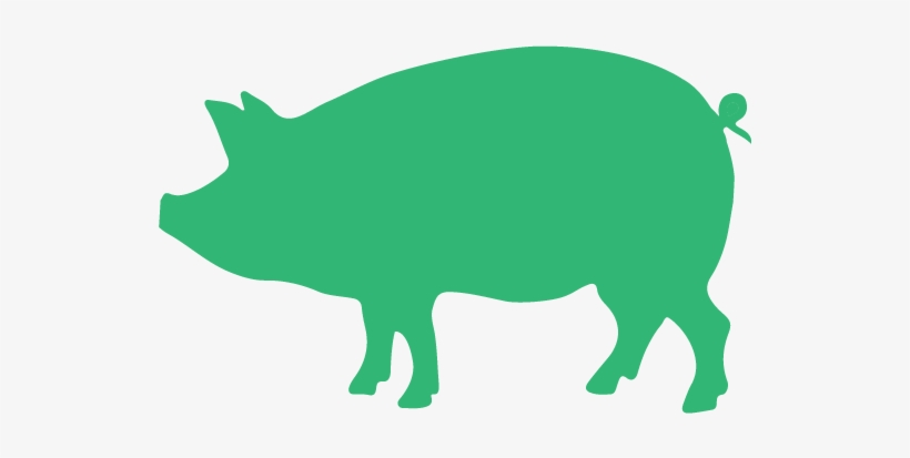 Illustrations Pigs Green - Sweat Like A Pig To Look Like, transparent png #8256231