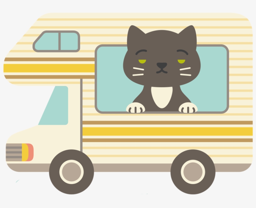 Chasing Booty Adventures - Black Cat, transparent png #8256377