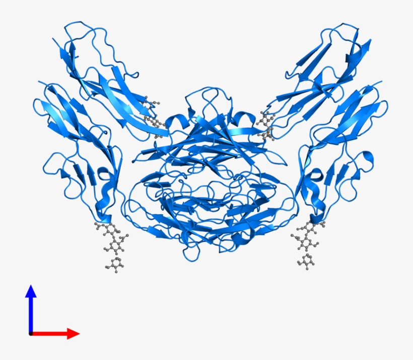 <div Class='caption-body'>pdb Entry 4xb7 Contains 2 - Illustration, transparent png #8256387