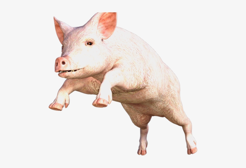 Pig Png Transparent Images - Pig Puns, transparent png #8256578