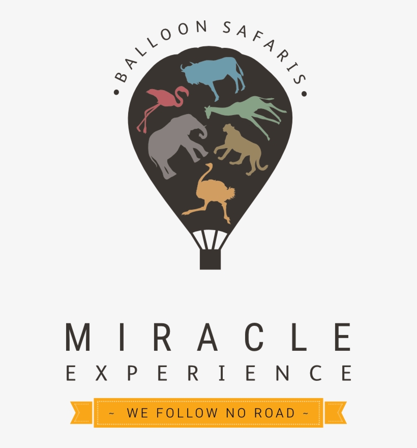Hot Air Balloon - Miracle Experience, transparent png #8256685