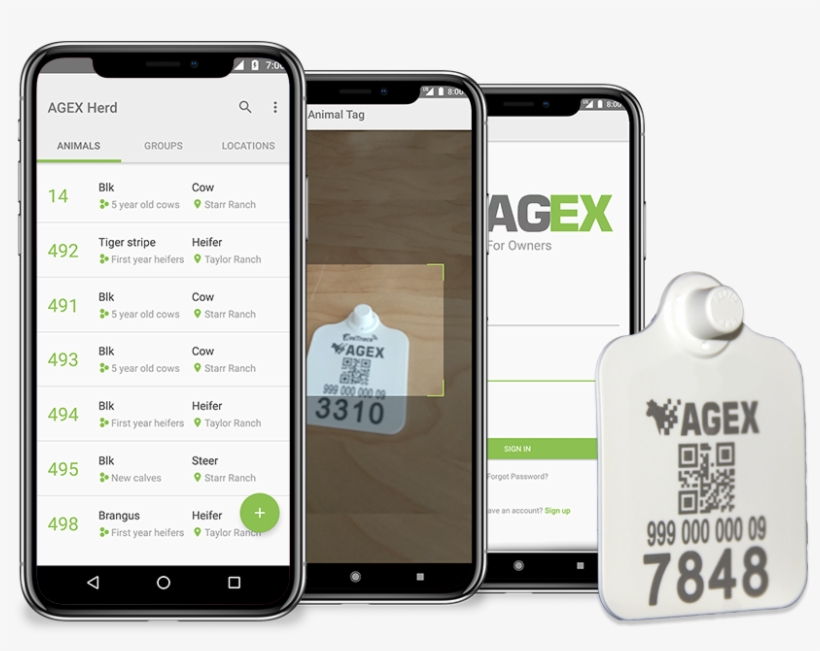 Herdsitemocup - Iphone, transparent png #8257762