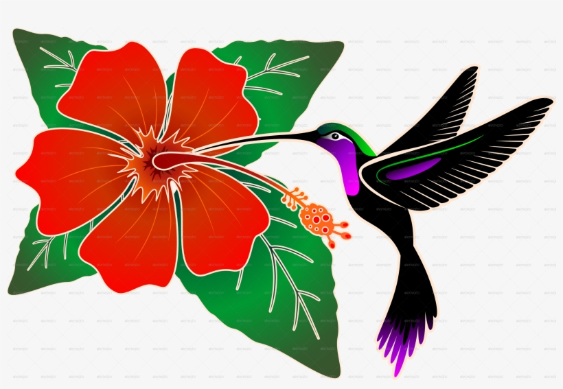 Red Hibiscus And Hummingbird-png - Hibiscus With Hummingbird Clupart Art, transparent png #8258173