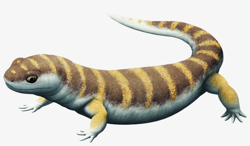 Tumblr Pd4xnjowht1s5f2yxo1 1280, transparent png #8258806