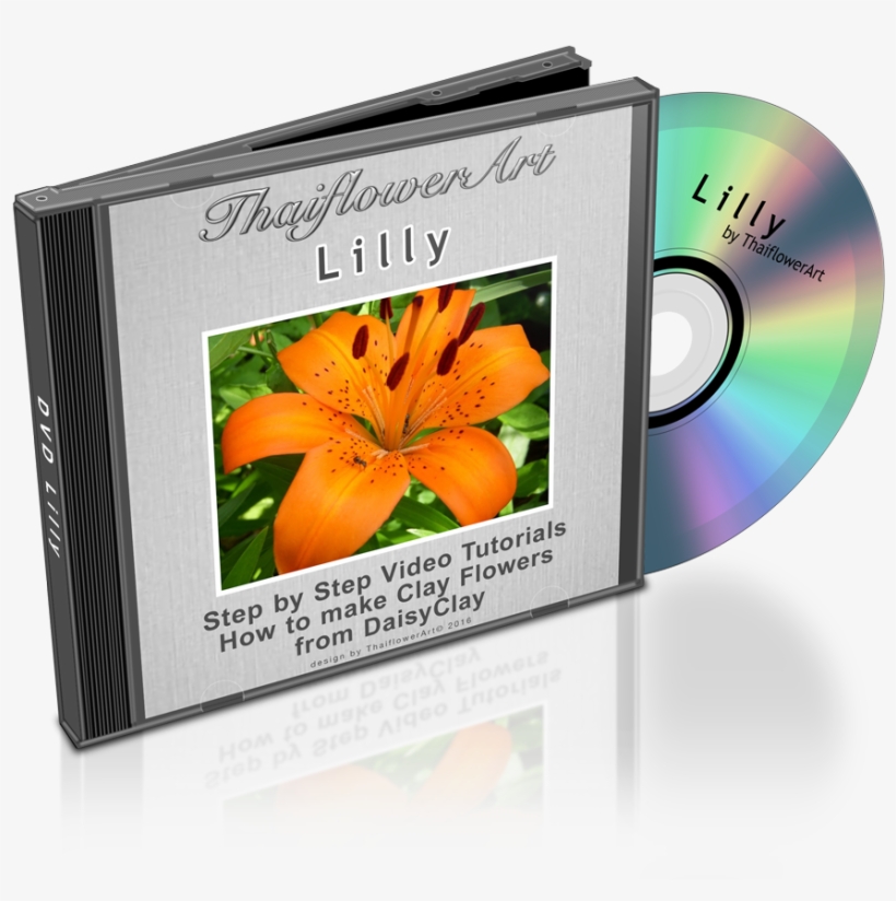 Dvd Lilly - Natiruts Reggae Power (sambaton), transparent png #8258845