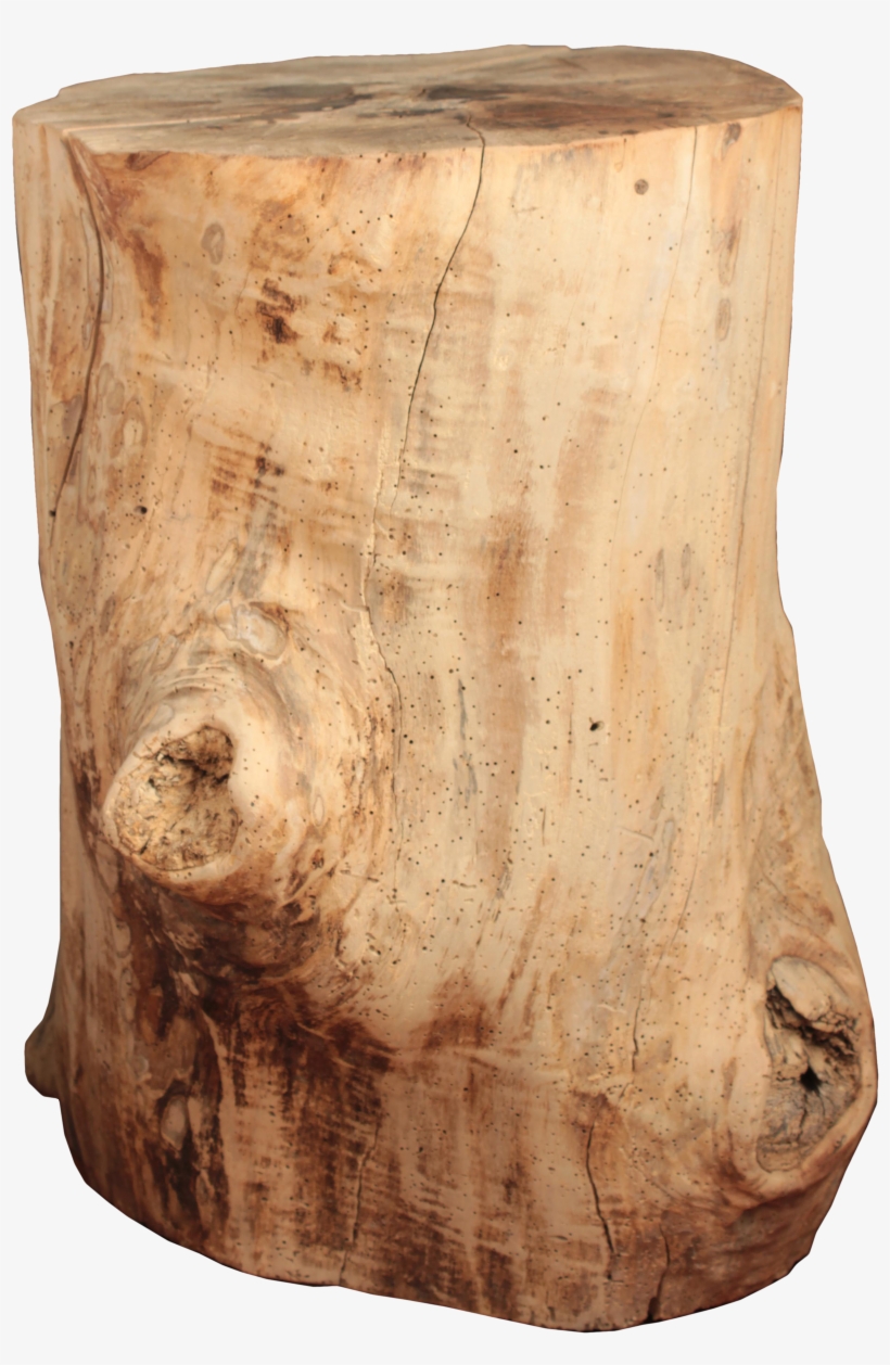 Hollow Tree Stump - Plywood, transparent png #8258851