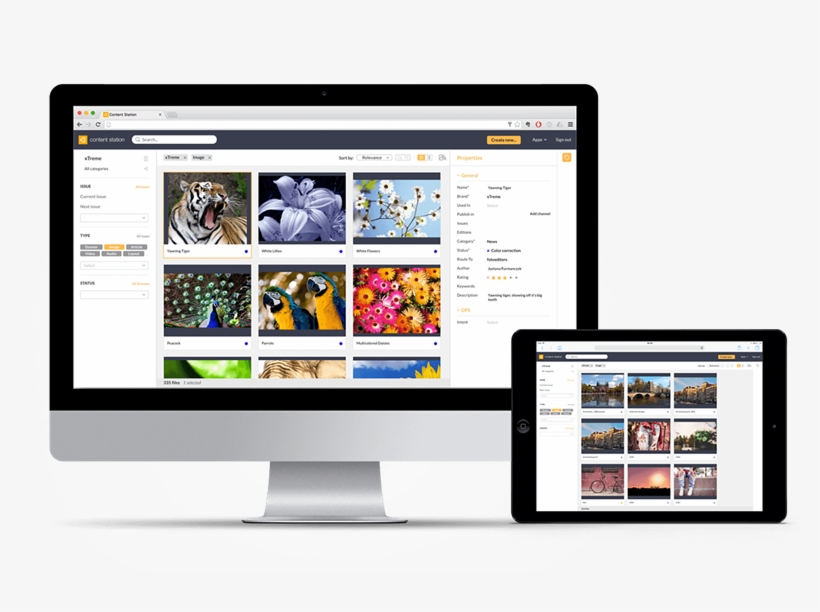 Medium Resolution - Imac Ipad Png, transparent png #8258960