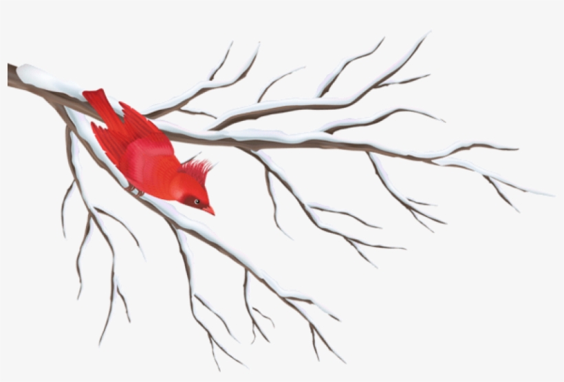 Free Png Winter Branch With Bird Png - Winter Berry Tree Drawing, transparent png #8260015