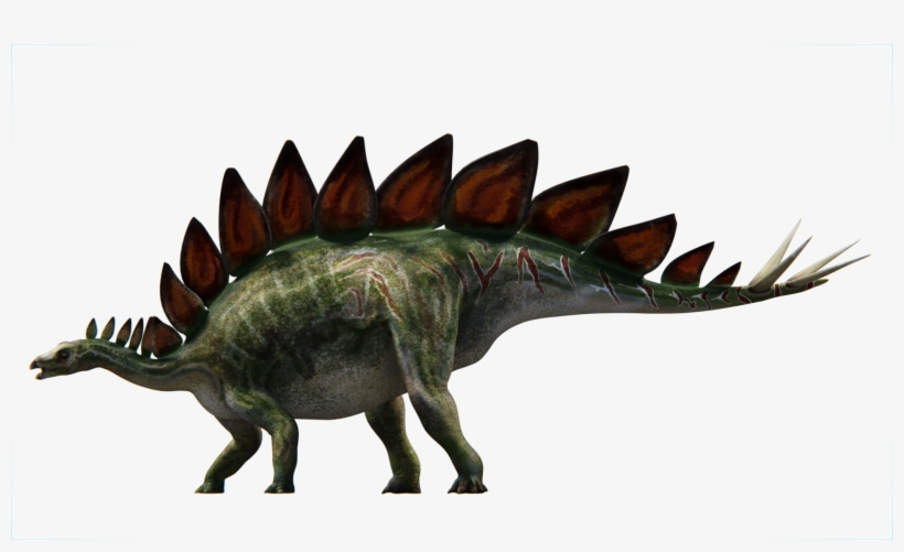 Stegosaurus - Stegosaurus Stenops Png, transparent png #8260141