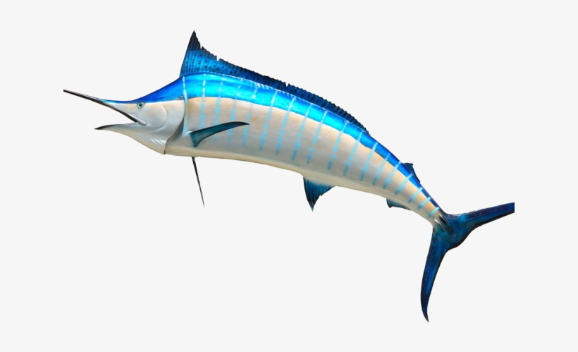 Swordfish Clipart Clip Art - Fish Head Png, transparent png #8260544
