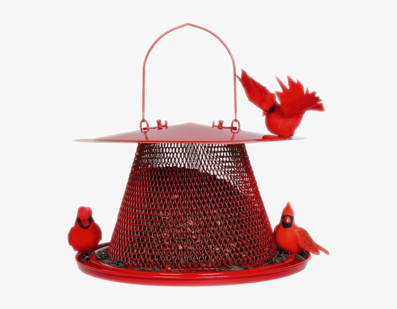 No/no Cardinal Red Bird Feeder, Metal, - Cardinal Bird Feeder, transparent png #8260603