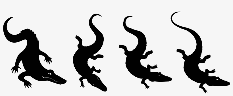 Gator Studies - Crocodile, transparent png #8262255