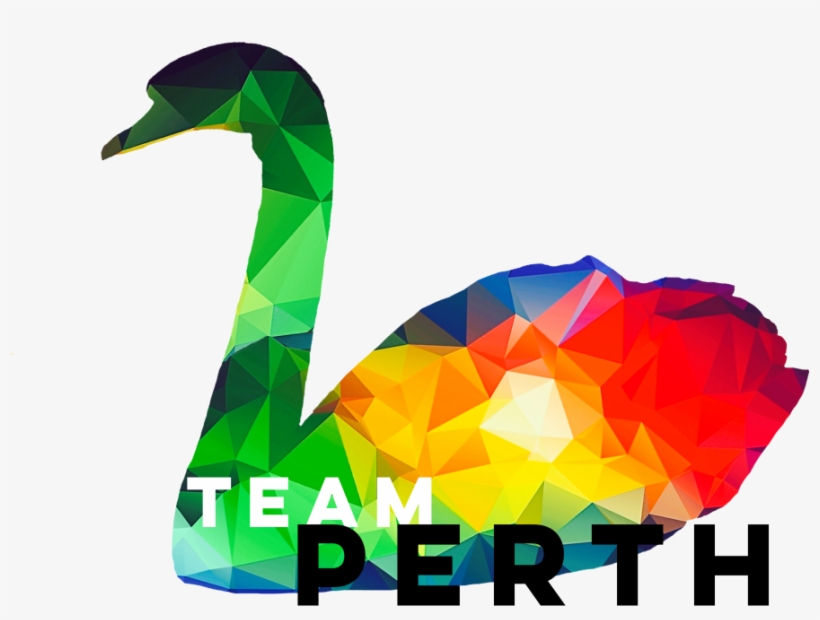 Https - Duck, transparent png #8262779