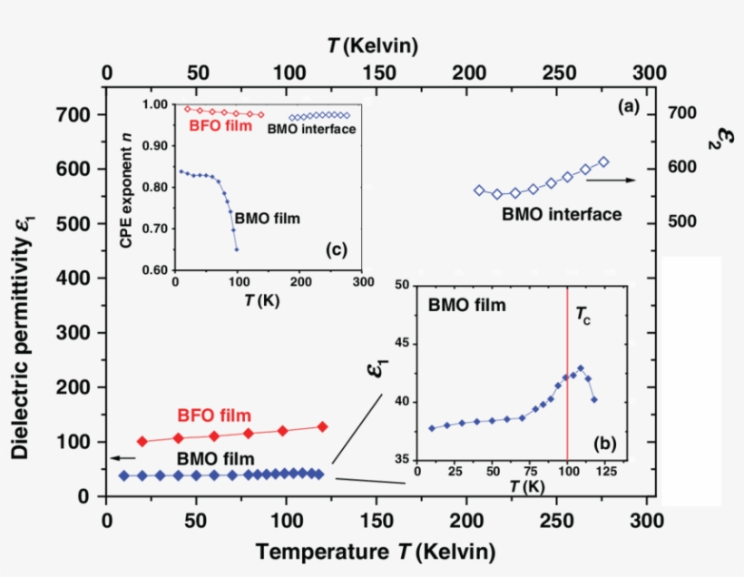 (a) Bmo And Bfo Intrinsic And Extrinsic Dielectric - Does The Concentration Of Electrolyte Affect, transparent png #8265221