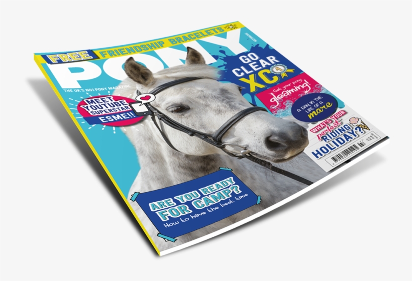 Magazine Png Free Photo - Stallion, transparent png #8266445