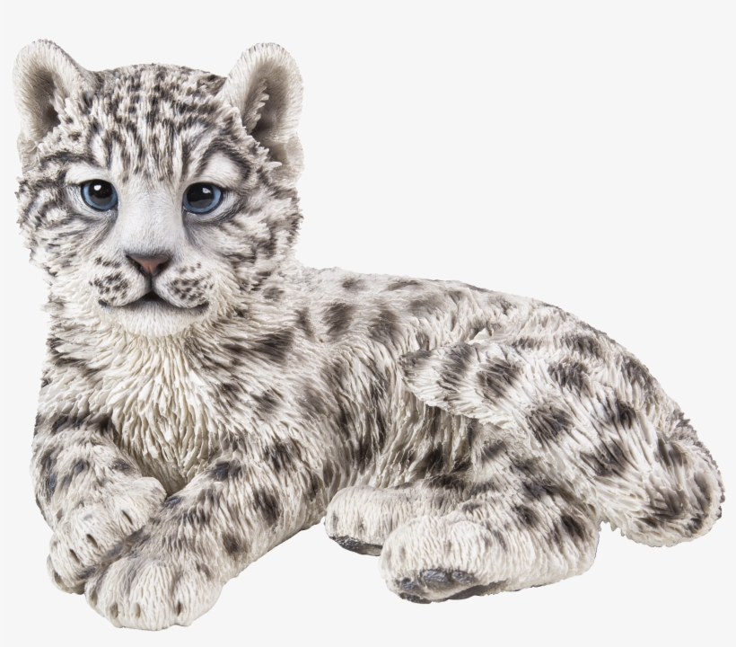 Vivid Arts, transparent png #8266623