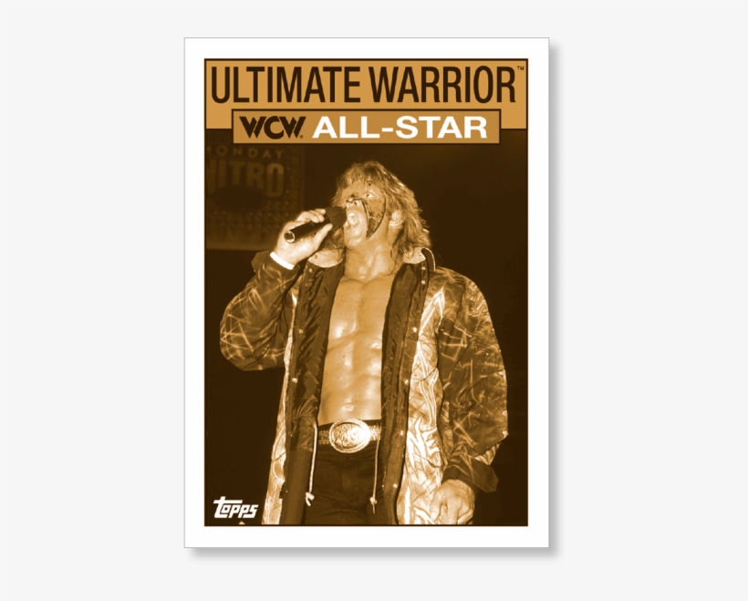 Gallery - Ultimate Warrior Wwe Magazine, transparent png #8266995