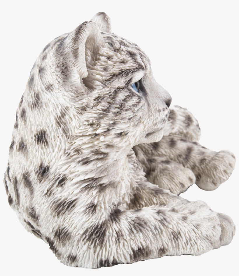 Punxsutawney Phil, transparent png #8267078