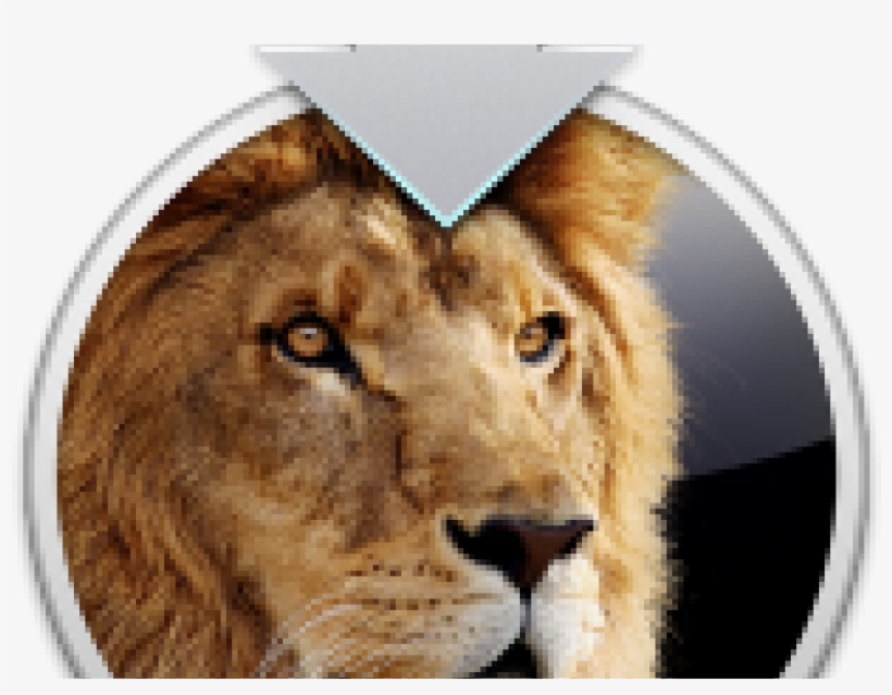 How To Build A Hackintosh With Os X Lion Natively - Os X Lion, transparent png #8267195