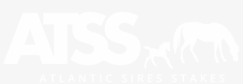 Horse Clinic, transparent png #8267304