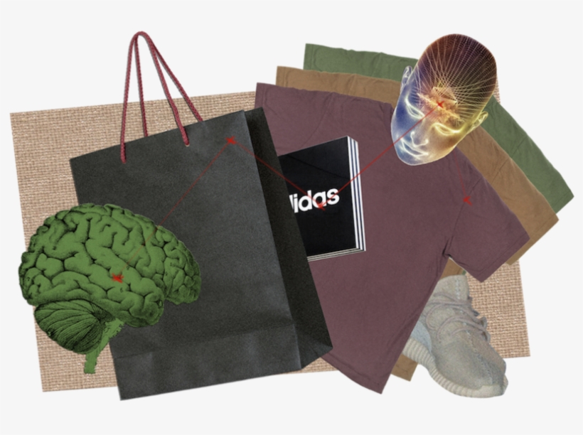 Illustration Af Adam Mignanelli - Vegetable, transparent png #8268182