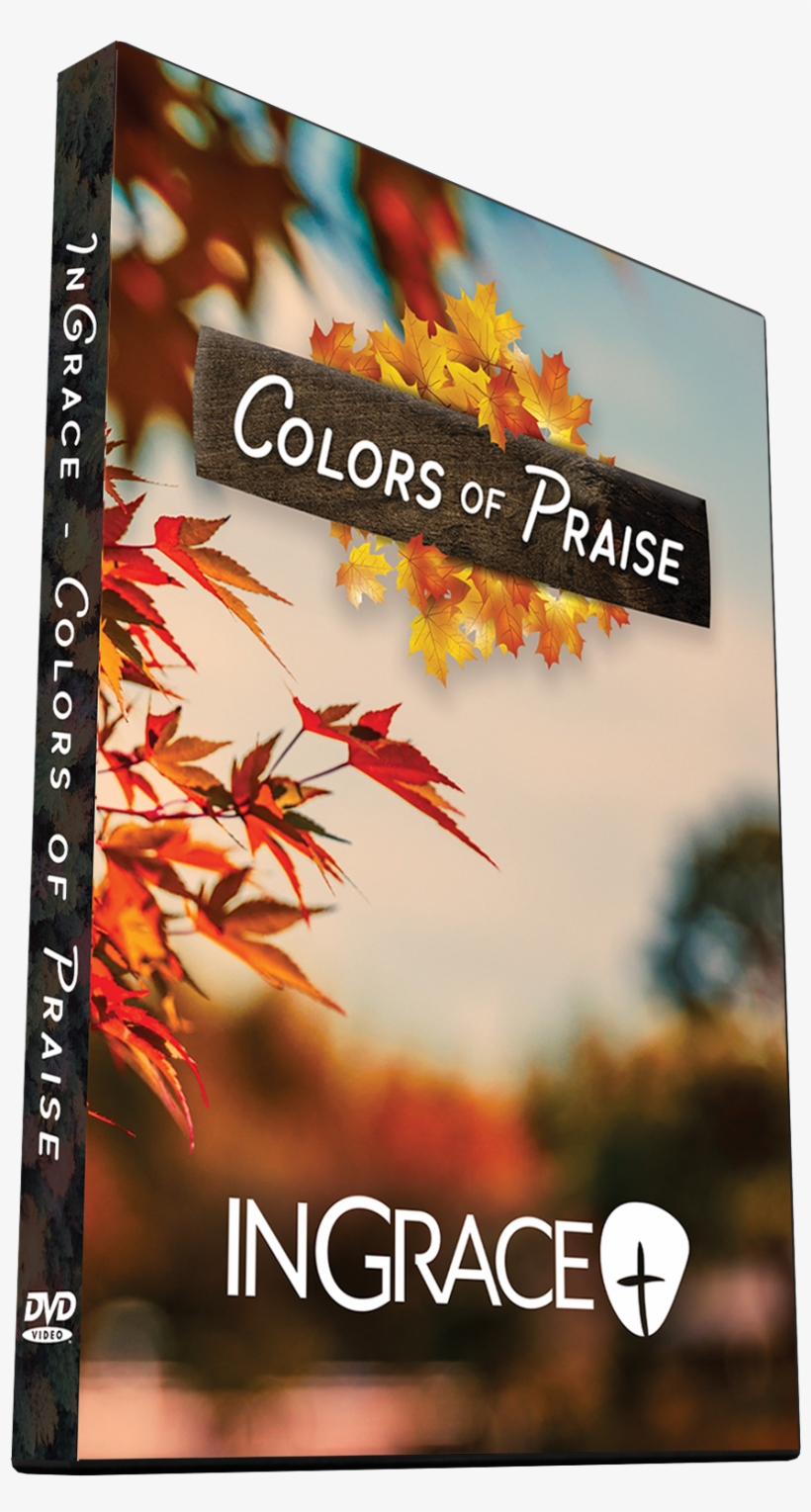 Colors Of Praise - Maple Leaf, transparent png #8269409