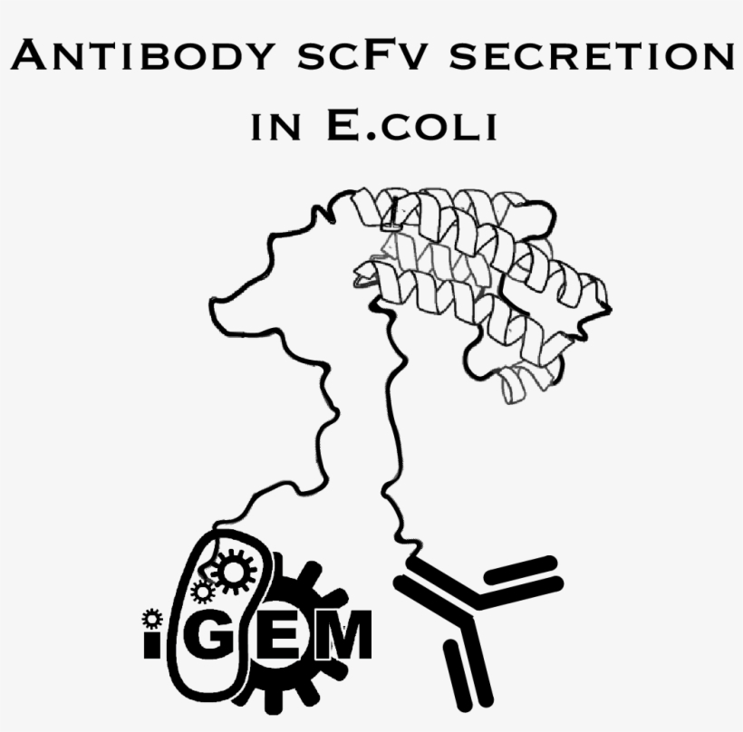 University Of Michigan Igem Team - Diagram, transparent png #8269614