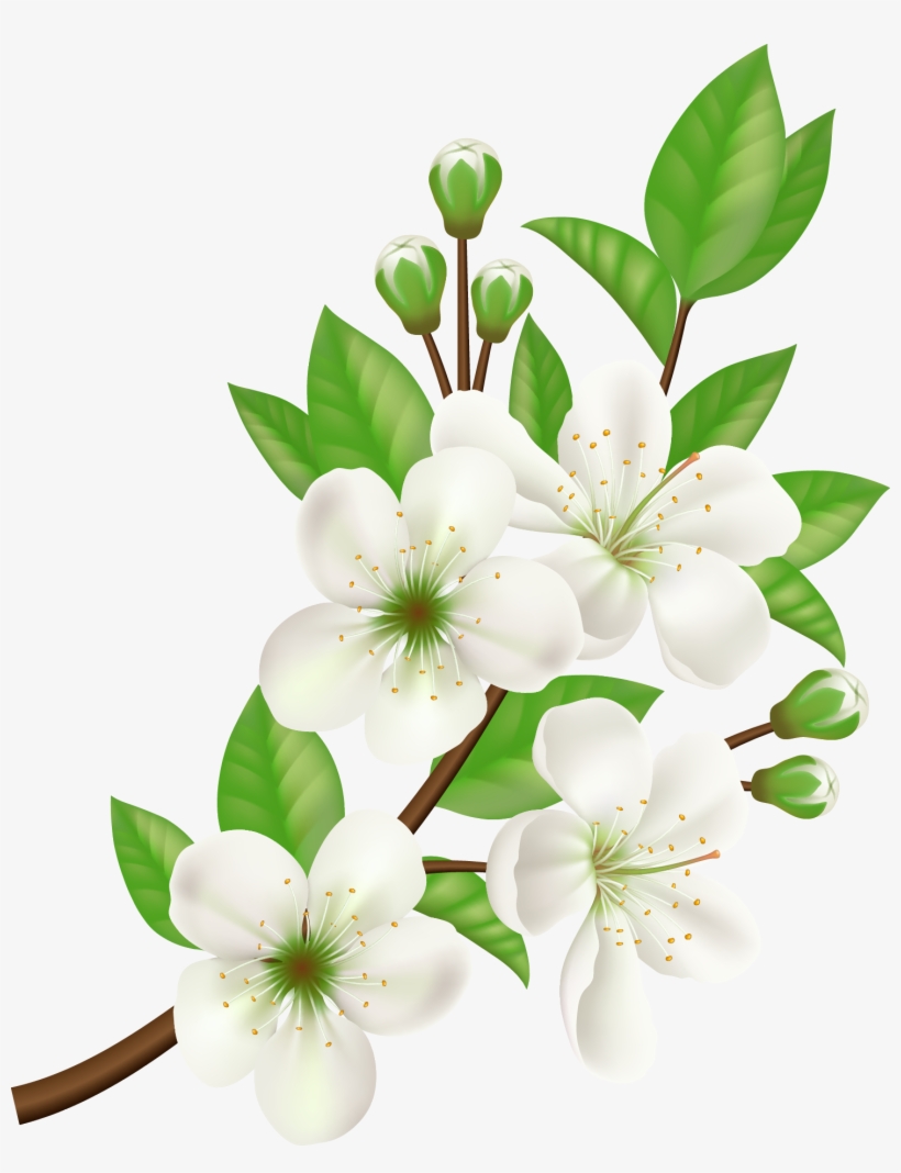 Royalty-free Computer Icons Flower - White Flower Vector Png, transparent png #8272521
