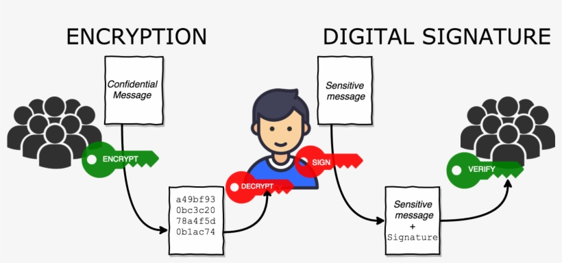 The Corresponding Public Key Should Be Made Available - Encryption Signature, transparent png #8273102