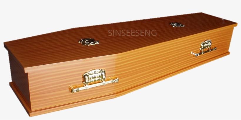 W 445 W 448 - Plywood, transparent png #8273379