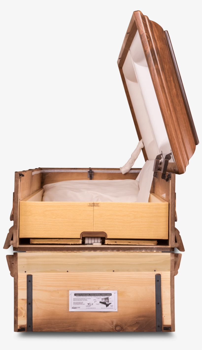 Log - Plywood, transparent png #8273811