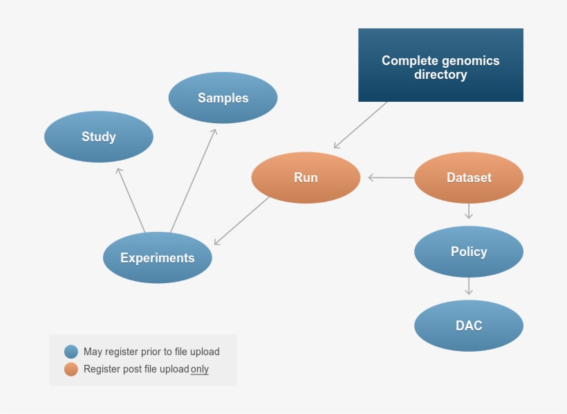 Complete Genomics Metadata - Diagram, transparent png #8274507