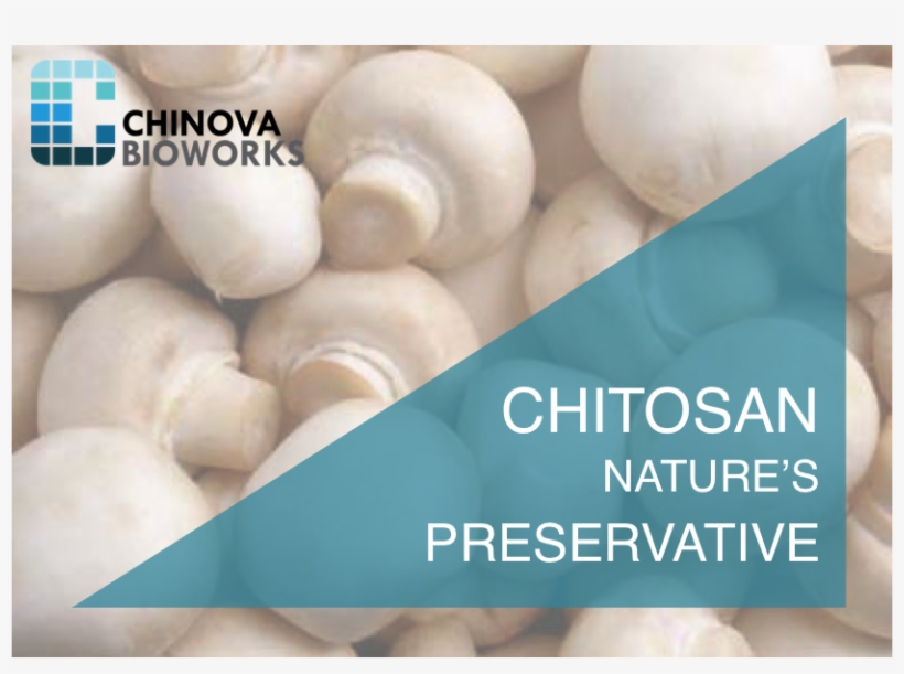 Mushroom Chitosan Offers Clean Label Products - Hampshire Fire And Rescue Service, transparent png #8275551