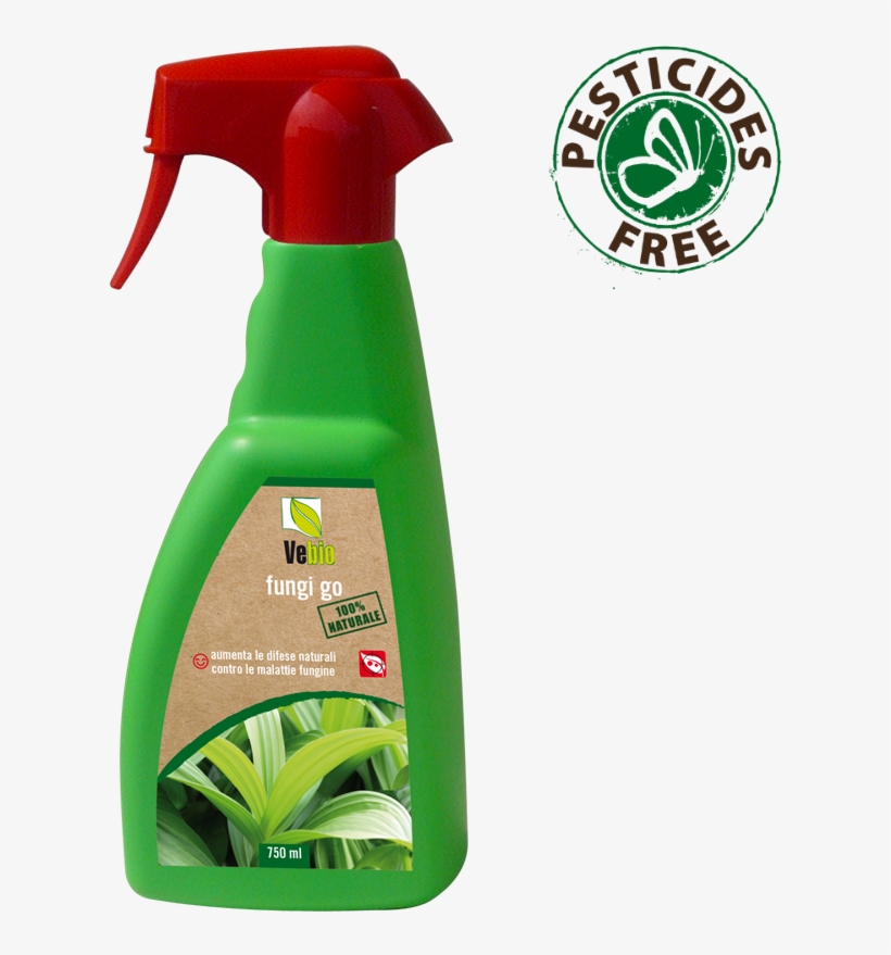 Fungi Go - Aloe, transparent png #8275645