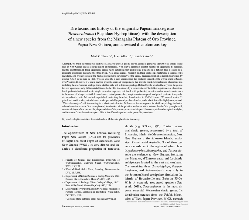 Pdf - Document, transparent png #8275776