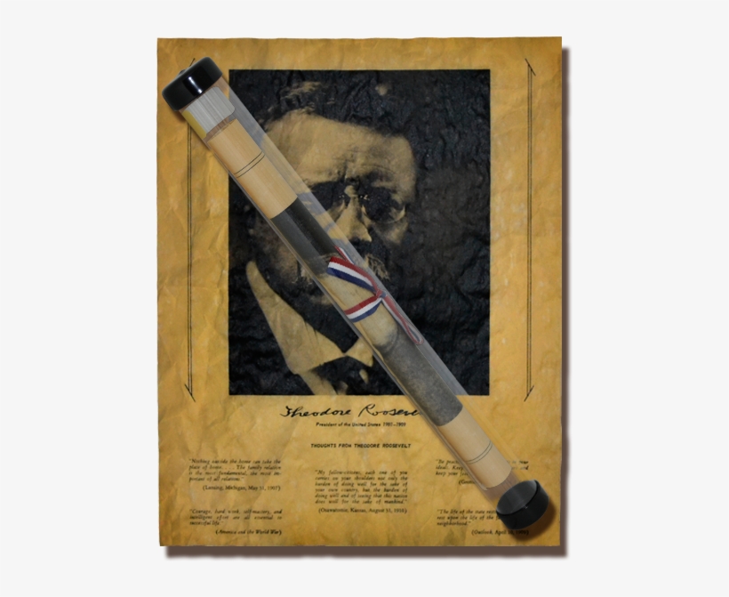 Thoughts From Theodore Roosevelt - Missile, transparent png #8277036
