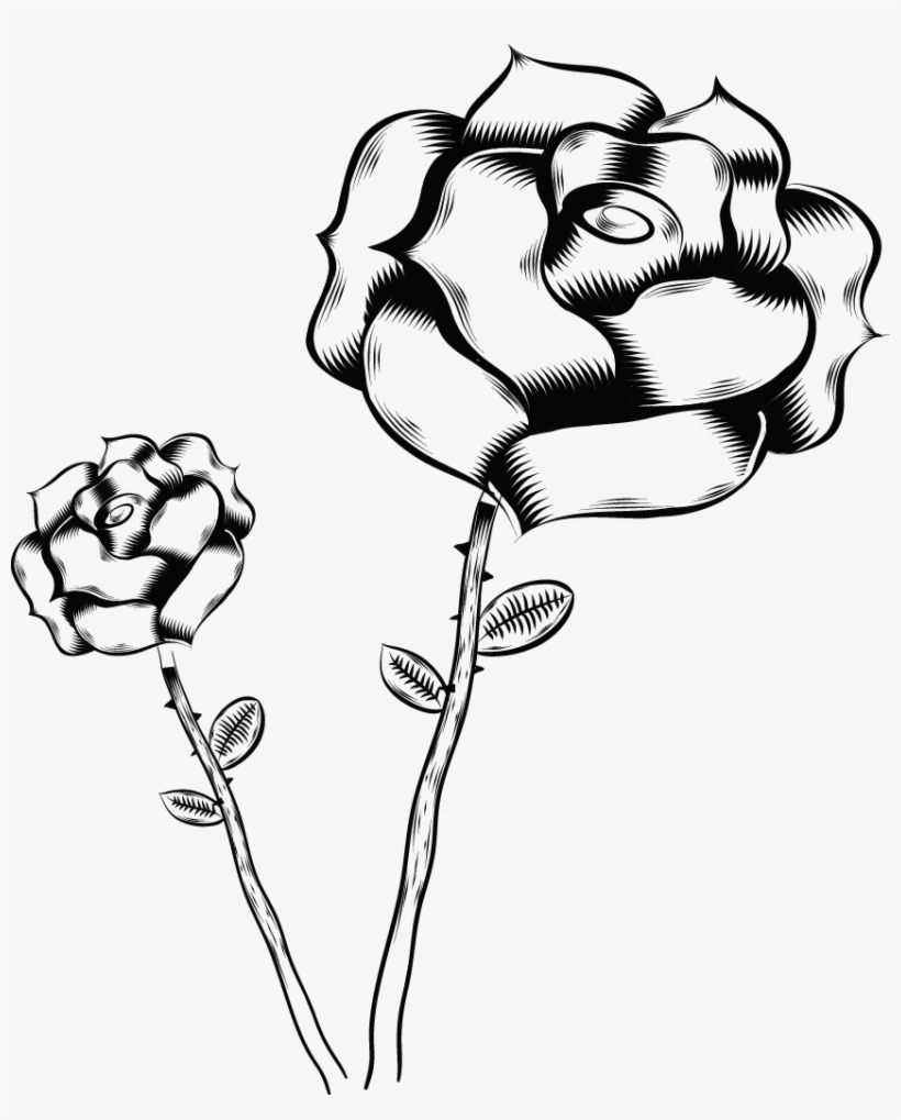 851 X 1017 1 - Flower, transparent png #8277872