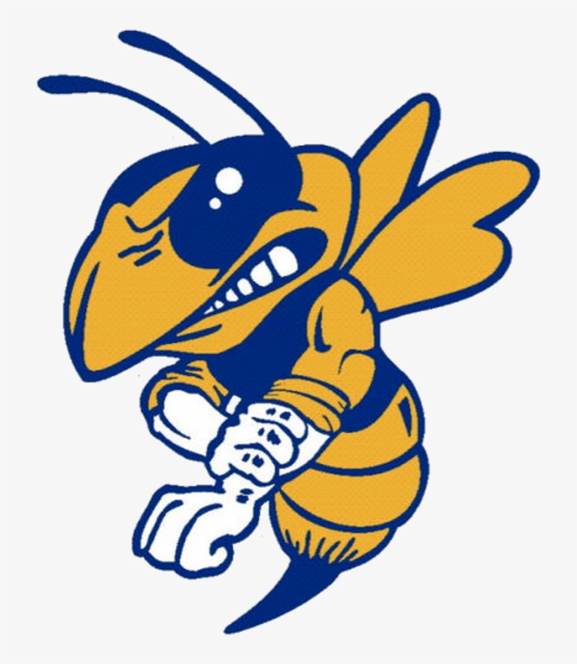 Hornet Clipart Baker - East Canton Hornets Logo, transparent png #8280316